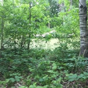 Meet your Posher, Elina